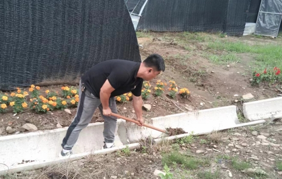 1721788245776839.jpg 特產1.jpg