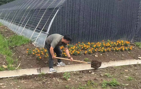 1721788293363645.jpg 特產2.jpg