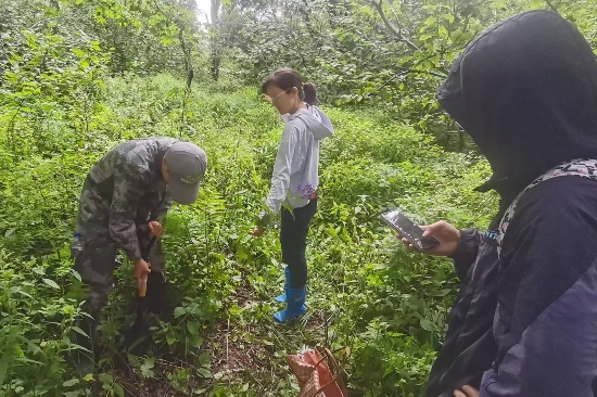 綠化苗木 (2)_副本.jpg