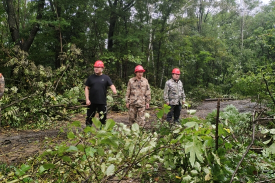 1724917778444100.jpg f72c820c22f37ee78db42d32fdf9128.jpg