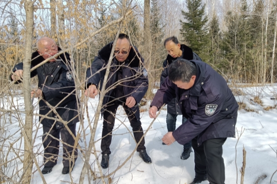 1741827061509875.jpg 明水林場開展“清山清套”專項行動筑牢野生動物保護屏障(2).jpg