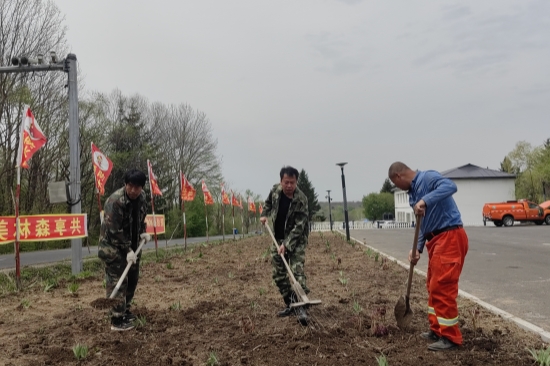1747377028297549.jpg 大東林場(chǎng)開(kāi)展“共建綠色家園”環(huán)境美化行動(dòng)(1).jpg