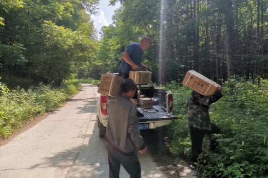 1752563176535732.jpg 大川林場開展森林病蟲害防治工作(3).jpg