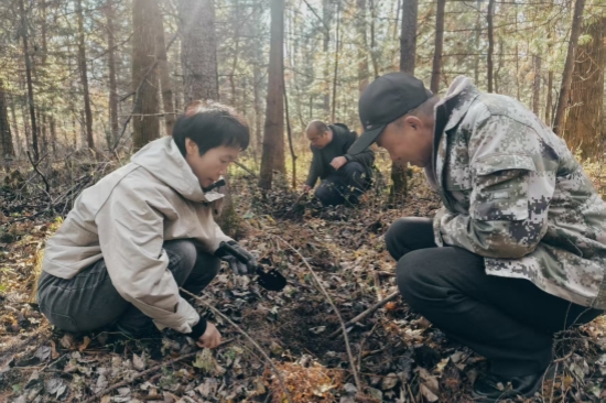 1763962993856081.jpg 泉林公司全面開展越冬前蟲情調(diào)查工作(1).jpg