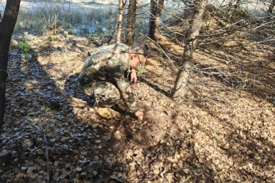 1763963000679422.jpg 泉林公司全面開展越冬前蟲情調(diào)查工作(2).jpg